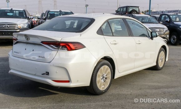 Buy Import Toyota Corolla White Car in Import - Dubai in Bumthang Buy Import Toyota Corolla White Car in Import - Dubai in Bumthang