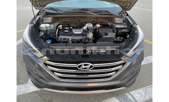 Buy Import Hyundai Tucson Other Car in Import - Dubai in Bumthang Buy Import Hyundai Tucson Other Car in Import - Dubai in Bumthang