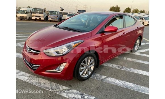 Buy Import Hyundai Elantra Red Car in Import - Dubai in Bumthang Buy Import Hyundai Elantra Red Car in Import - Dubai in Bumthang