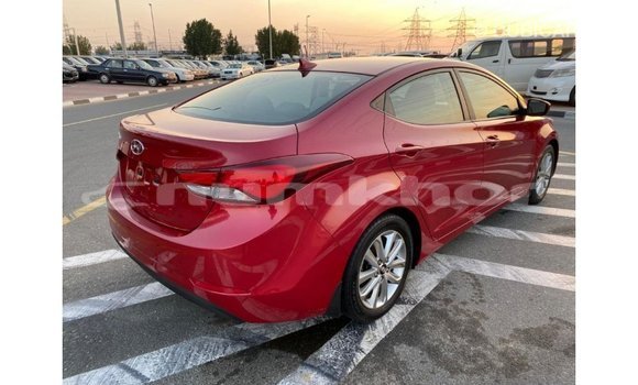 Buy Import Hyundai Elantra Red Car in Import - Dubai in Bumthang Buy Import Hyundai Elantra Red Car in Import - Dubai in Bumthang