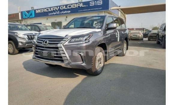 Buy Import Lexus LX Other Car in Import - Dubai in Bumthang Buy Import Lexus LX Other Car in Import - Dubai in Bumthang