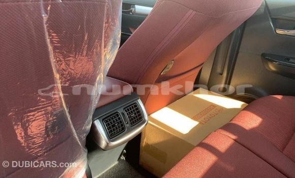 Buy Import Toyota Hilux Other Car in Import - Dubai in Bumthang Buy Import Toyota Hilux Other Car in Import - Dubai in Bumthang