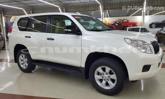 Buy Import Toyota Prado White Car in Import - Dubai in Bumthang Buy Import Toyota Prado White Car in Import - Dubai in Bumthang