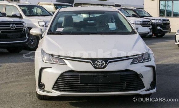 Buy Import Toyota Corolla White Car in Import - Dubai in Bumthang Buy Import Toyota Corolla White Car in Import - Dubai in Bumthang