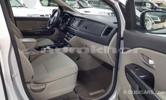 Buy Import Kia Carnival Other Car in Import - Dubai in Bumthang Buy Import Kia Carnival Other Car in Import - Dubai in Bumthang