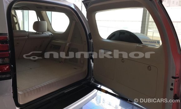 Buy Import Toyota Prado Black Car in Import - Dubai in Bumthang Buy Import Toyota Prado Black Car in Import - Dubai in Bumthang