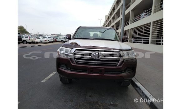Buy Import Toyota Land Cruiser Brown Car in Import - Dubai in Bumthang Buy Import Toyota Land Cruiser Brown Car in Import - Dubai in Bumthang