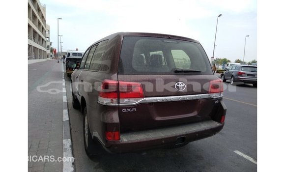 Buy Import Toyota Land Cruiser Brown Car in Import - Dubai in Bumthang Buy Import Toyota Land Cruiser Brown Car in Import - Dubai in Bumthang