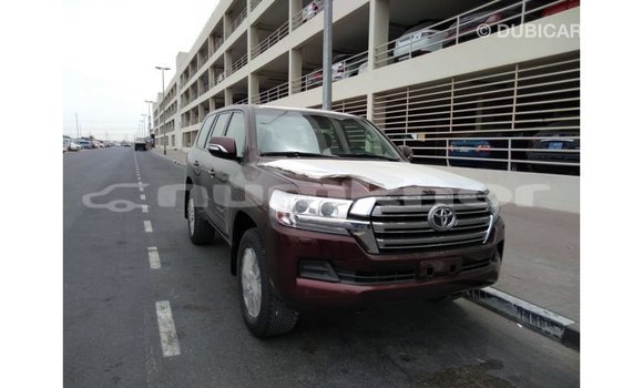Buy Import Toyota Land Cruiser Brown Car in Import - Dubai in Bumthang Buy Import Toyota Land Cruiser Brown Car in Import - Dubai in Bumthang