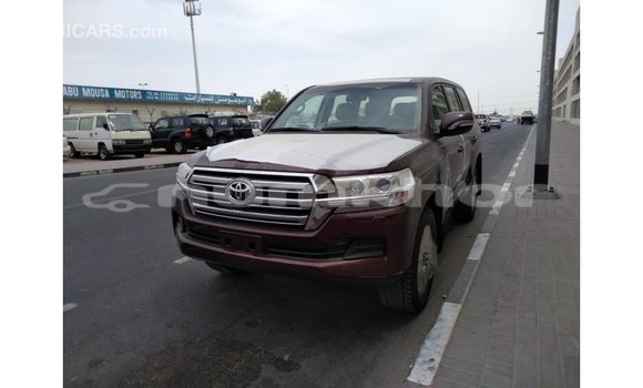 Buy Import Toyota Land Cruiser Brown Car in Import - Dubai in Bumthang Buy Import Toyota Land Cruiser Brown Car in Import - Dubai in Bumthang
