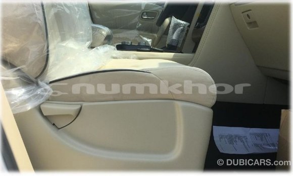 Buy Import Nissan Patrol White Car in Import - Dubai in Bumthang Buy Import Nissan Patrol White Car in Import - Dubai in Bumthang