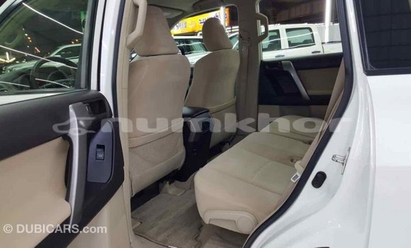 Buy Import Toyota Prado White Car in Import - Dubai in Bumthang Buy Import Toyota Prado White Car in Import - Dubai in Bumthang