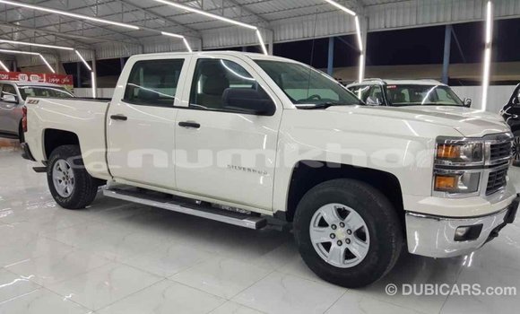 Buy Import Chevrolet Silverado White Car in Import - Dubai in Bumthang Buy Import Chevrolet Silverado White Car in Import - Dubai in Bumthang