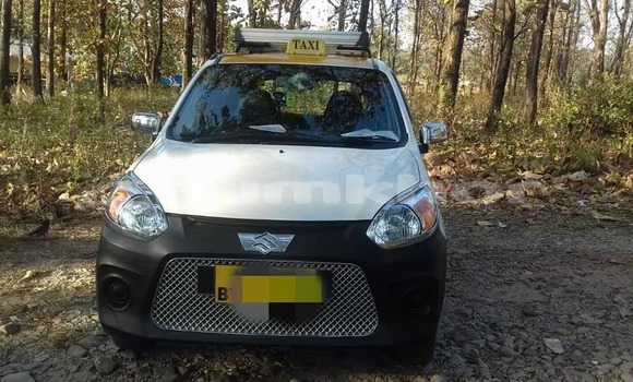 Buy Used Suzuki Alto White Car in Phuntsholing in Samchi