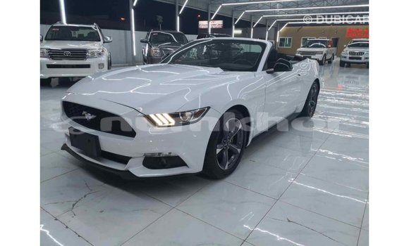 Buy Import Ford Mustang White Car in Import - Dubai in Bumthang Buy Import Ford Mustang White Car in Import - Dubai in Bumthang