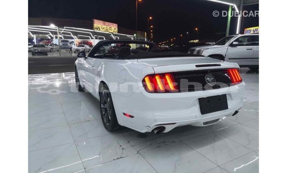 Buy Import Ford Mustang White Car in Import - Dubai in Bumthang Buy Import Ford Mustang White Car in Import - Dubai in Bumthang