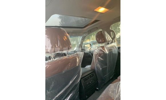 Buy Import Toyota Land Cruiser Black Car in Import - Dubai in Bumthang Buy Import Toyota Land Cruiser Black Car in Import - Dubai in Bumthang