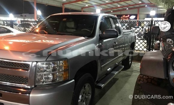 Buy Import Chevrolet Silverado Other Car in Import - Dubai in Bumthang Buy Import Chevrolet Silverado Other Car in Import - Dubai in Bumthang