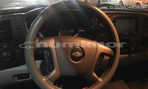 Buy Import Chevrolet Silverado Other Car in Import - Dubai in Bumthang Buy Import Chevrolet Silverado Other Car in Import - Dubai in Bumthang