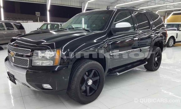 Buy Import Chevrolet Tahoe Black Car in Import - Dubai in Bumthang Buy Import Chevrolet Tahoe Black Car in Import - Dubai in Bumthang
