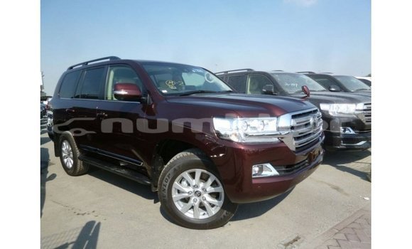 Buy Import Toyota Land Cruiser Brown Car in Import - Dubai in Bumthang Buy Import Toyota Land Cruiser Brown Car in Import - Dubai in Bumthang