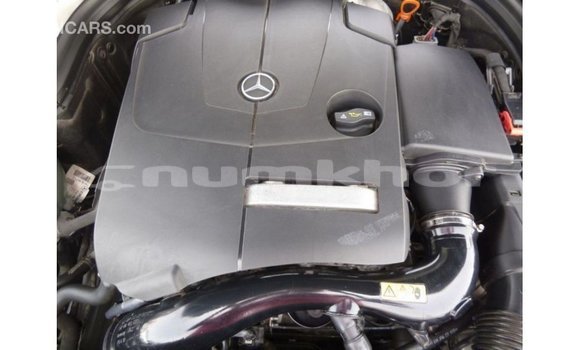 Buy Import Mercedes-Benz 190 Black Car in Import - Dubai in Bumthang Buy Import Mercedes-Benz 190 Black Car in Import - Dubai in Bumthang