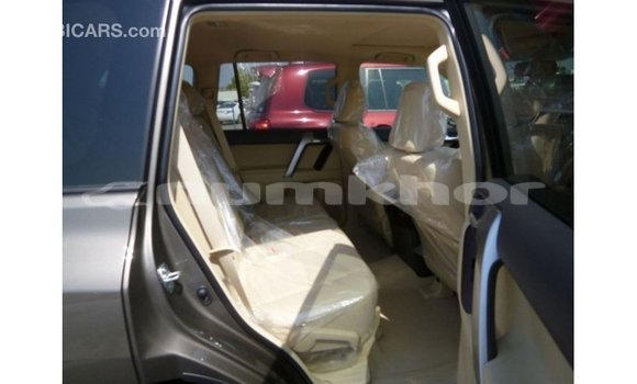 Buy Import Toyota Prado Brown Car in Import - Dubai in Bumthang Buy Import Toyota Prado Brown Car in Import - Dubai in Bumthang