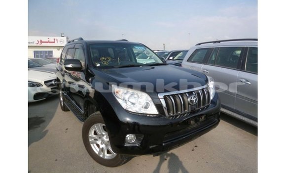 Buy Import Toyota Prado Black Car in Import - Dubai in Bumthang Buy Import Toyota Prado Black Car in Import - Dubai in Bumthang