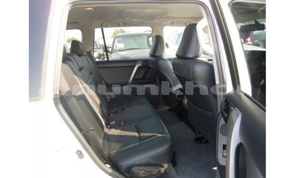 Buy Import Toyota Prado White Car in Import - Dubai in Bumthang Buy Import Toyota Prado White Car in Import - Dubai in Bumthang