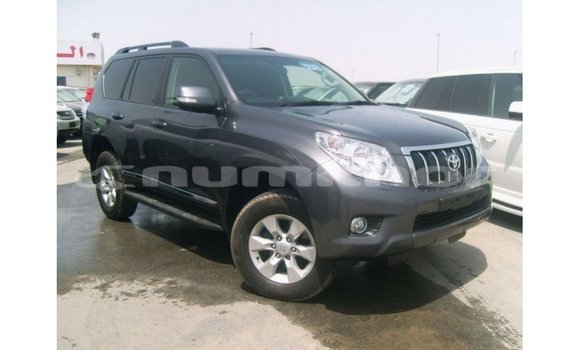 Buy Import Toyota Prado Other Car in Import - Dubai in Bumthang Buy Import Toyota Prado Other Car in Import - Dubai in Bumthang