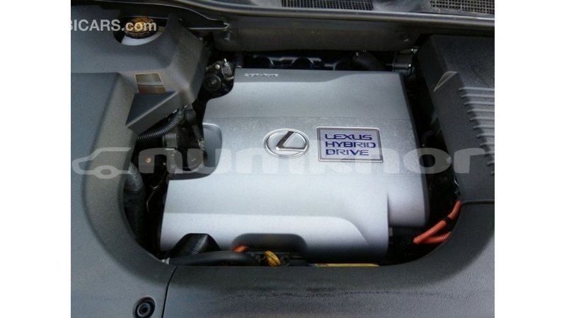 Big with watermark lexus rx bumthang import dubai 2788