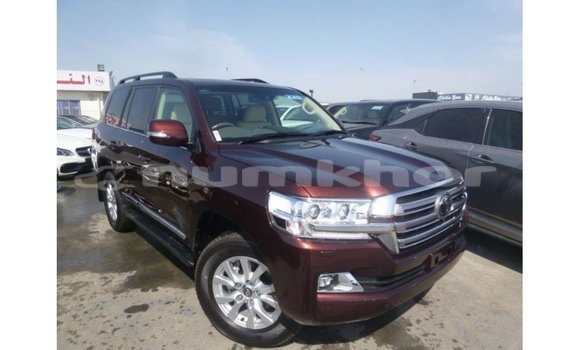Buy Import Toyota Land Cruiser Brown Car in Import - Dubai in Bumthang Buy Import Toyota Land Cruiser Brown Car in Import - Dubai in Bumthang