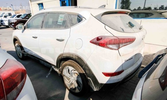 Buy Import Hyundai Tucson White Car in Import - Dubai in Bumthang Buy Import Hyundai Tucson White Car in Import - Dubai in Bumthang