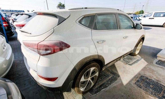 Buy Import Hyundai Tucson White Car in Import - Dubai in Bumthang Buy Import Hyundai Tucson White Car in Import - Dubai in Bumthang