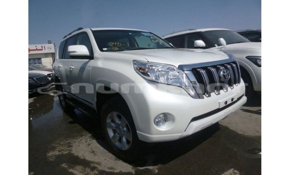 Buy Import Toyota Prado White Car in Import - Dubai in Bumthang Buy Import Toyota Prado White Car in Import - Dubai in Bumthang