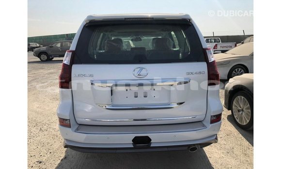 Buy Import Lexus GX White Car in Import - Dubai in Bumthang Buy Import Lexus GX White Car in Import - Dubai in Bumthang