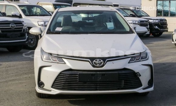 Buy Import Toyota Corolla White Car in Import - Dubai in Bumthang Buy Import Toyota Corolla White Car in Import - Dubai in Bumthang