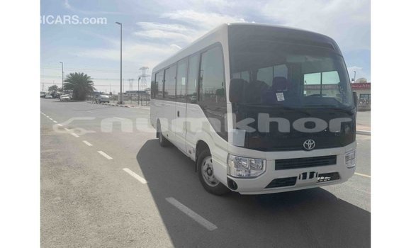 Buy Import Toyota Coaster White Car in Import - Dubai in Bumthang Buy Import Toyota Coaster White Car in Import - Dubai in Bumthang