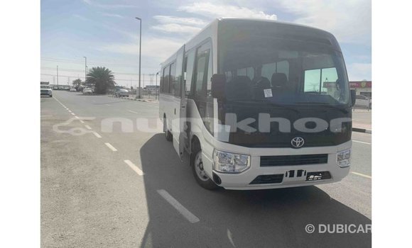 Buy Import Toyota Coaster White Car in Import - Dubai in Bumthang Buy Import Toyota Coaster White Car in Import - Dubai in Bumthang