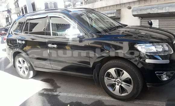Buy Used Hyundai Santa Fe Black Car in Thimphu in Timphu