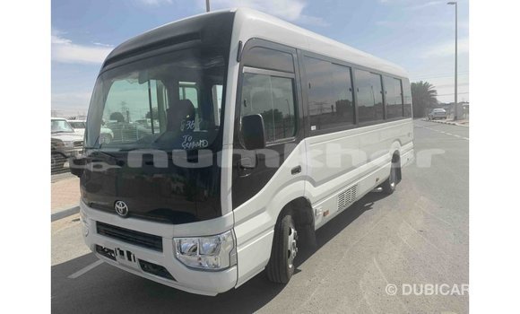 Buy Import Toyota Coaster White Car in Import - Dubai in Bumthang Buy Import Toyota Coaster White Car in Import - Dubai in Bumthang