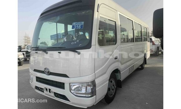 Buy Import Toyota Coaster White Car in Import - Dubai in Bumthang Buy Import Toyota Coaster White Car in Import - Dubai in Bumthang