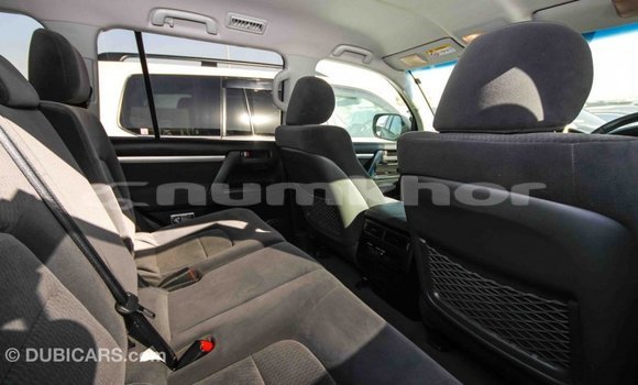Buy Import Toyota Land Cruiser Black Car in Import - Dubai in Bumthang Buy Import Toyota Land Cruiser Black Car in Import - Dubai in Bumthang