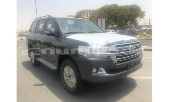 Buy Import Toyota Land Cruiser Other Car in Import - Dubai in Bumthang Buy Import Toyota Land Cruiser Other Car in Import - Dubai in Bumthang