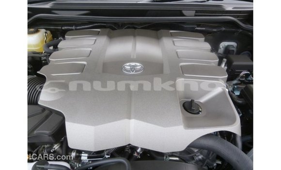 Buy Import Toyota Land Cruiser Black Car in Import - Dubai in Bumthang Buy Import Toyota Land Cruiser Black Car in Import - Dubai in Bumthang