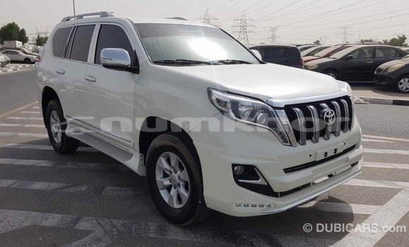 Buy Import Toyota Prado White Car in Import - Dubai in Bumthang Buy Import Toyota Prado White Car in Import - Dubai in Bumthang