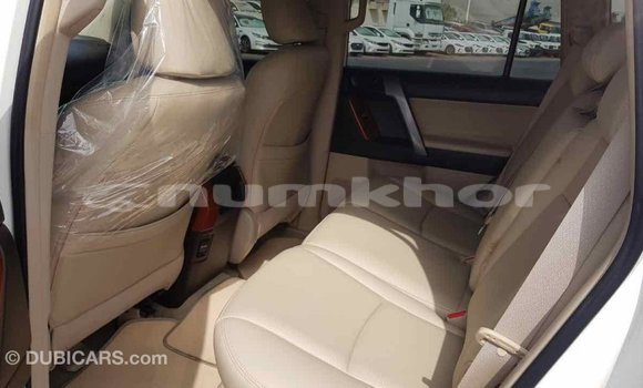 Buy Import Toyota Prado White Car in Import - Dubai in Bumthang Buy Import Toyota Prado White Car in Import - Dubai in Bumthang