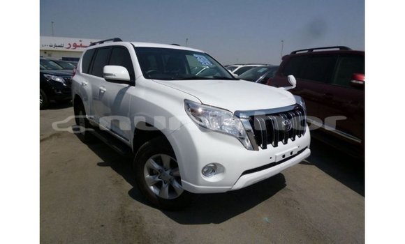 Buy Import Toyota Prado White Car in Import - Dubai in Bumthang Buy Import Toyota Prado White Car in Import - Dubai in Bumthang