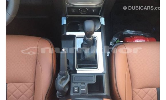Buy Import Toyota Prado Black Car in Import - Dubai in Bumthang Buy Import Toyota Prado Black Car in Import - Dubai in Bumthang