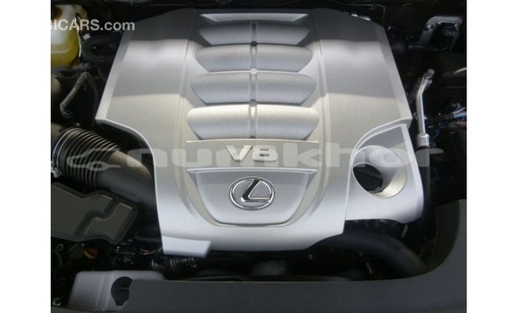 Buy Import Lexus LX Other Car in Import - Dubai in Bumthang Buy Import Lexus LX Other Car in Import - Dubai in Bumthang